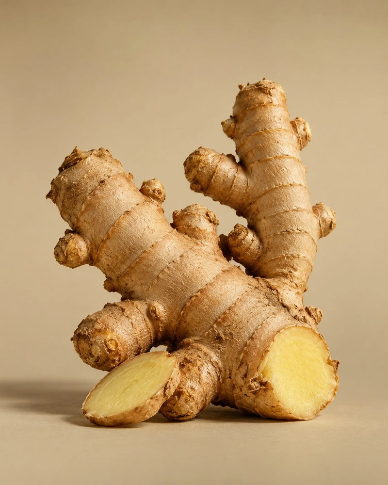 Ginger